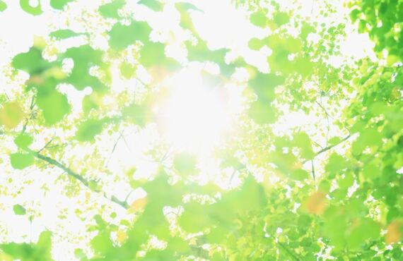 代々木八幡でショートスタイルがおすすめの美容室